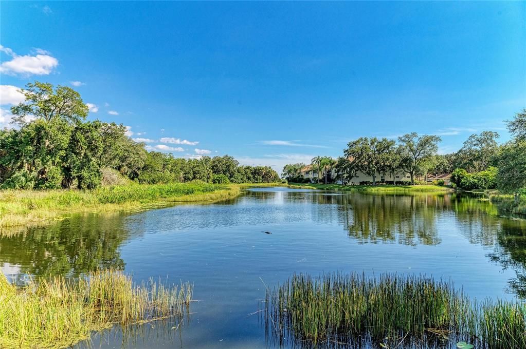 For Sale: $279,900 (2 beds, 2 baths, 1496 Square Feet)