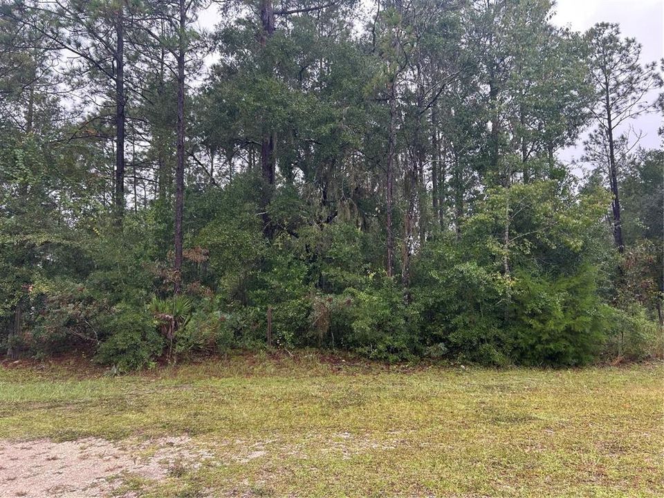 待售: $33,000 (1.10 acres)