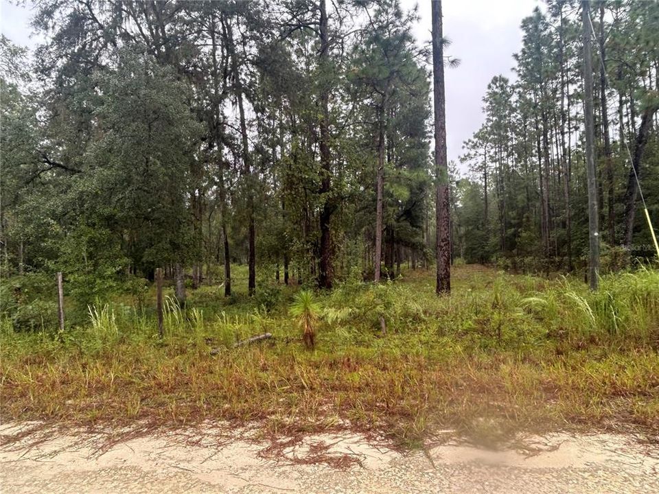 For Sale: $33,000 (1.10 acres)