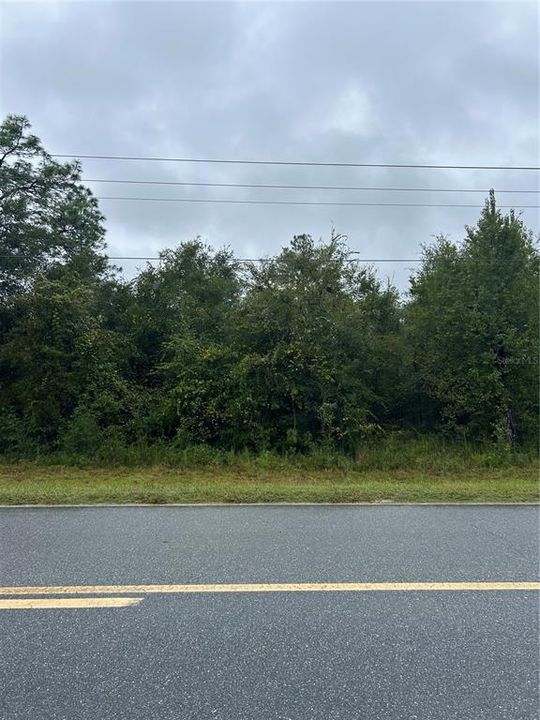 For Sale: $30,000 (1.00 acres)