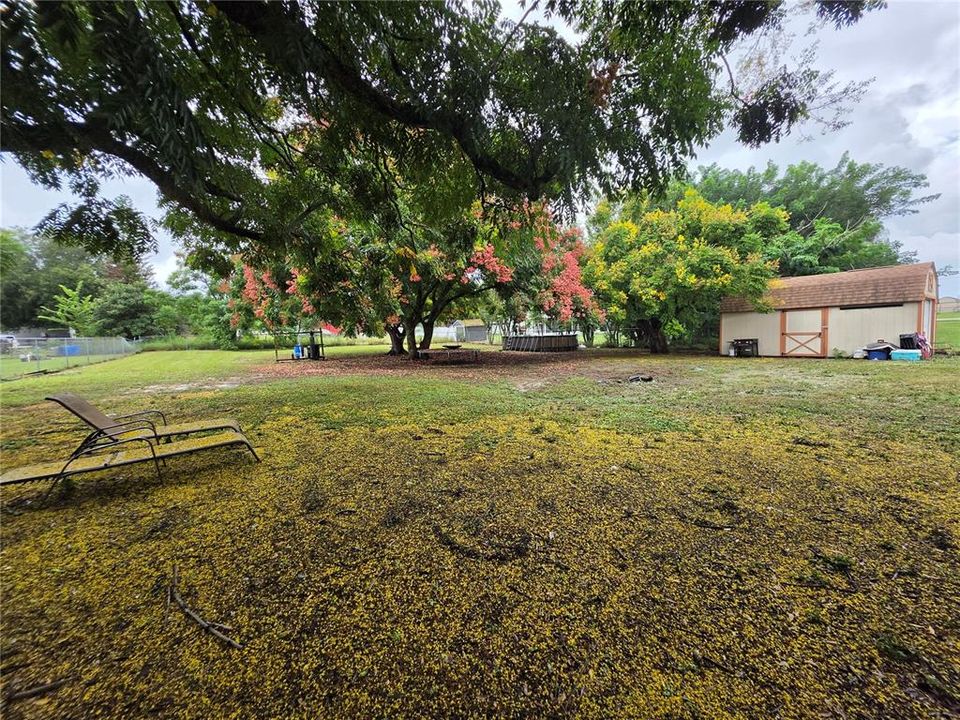 Activo con contrato: $179,999 (3 camas, 2 baños, 1036 Pies cuadrados)