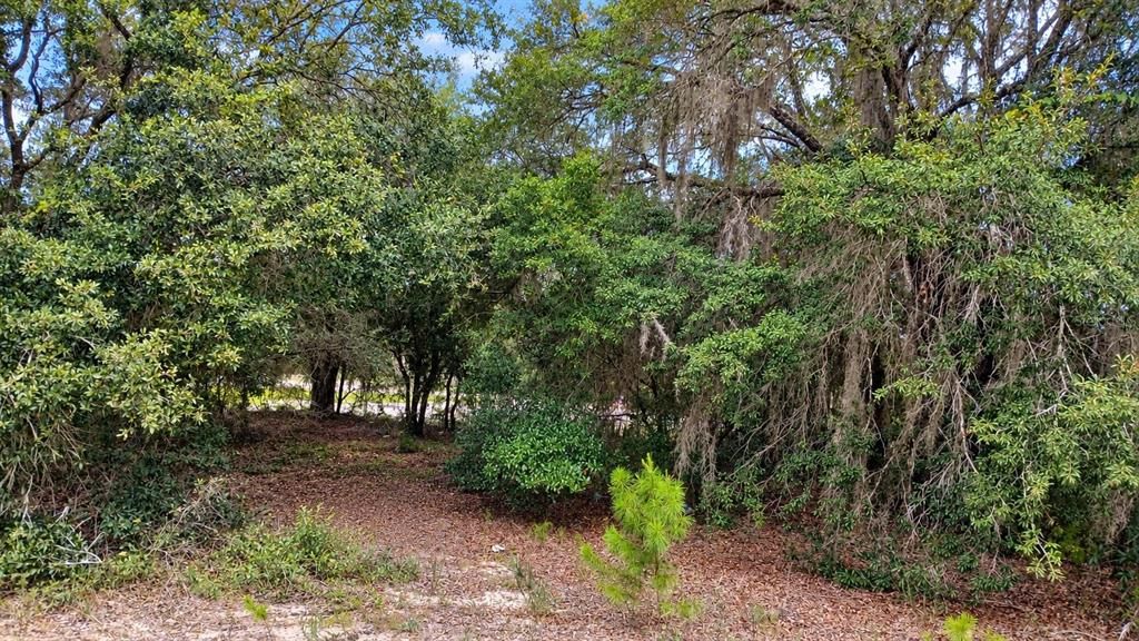 For Sale: $20,500 (0.40 acres)