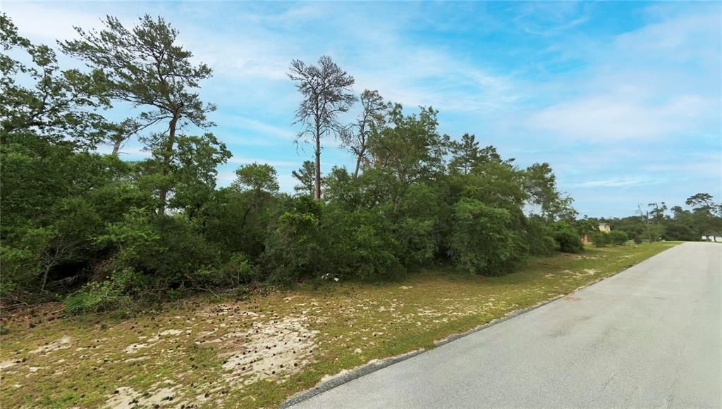 待售: $49,000 (0.33 acres)