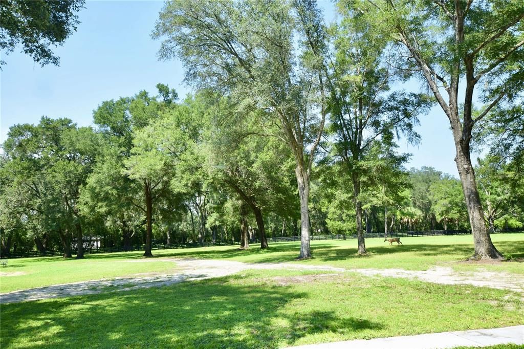 For Sale: $1,170,000 (5 beds, 3 baths, 3224 Square Feet)
