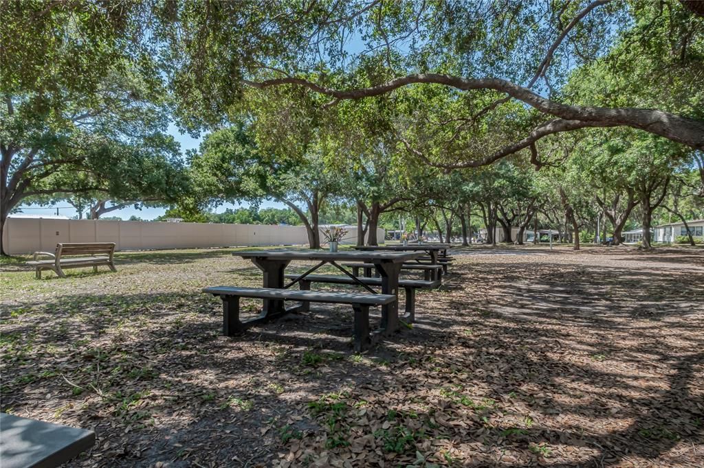 For Sale: $140,000 (2 beds, 2 baths, 1096 Square Feet)