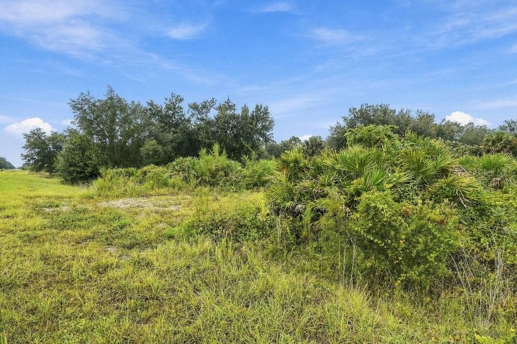 For Sale: $39,500 (1.25 acres)