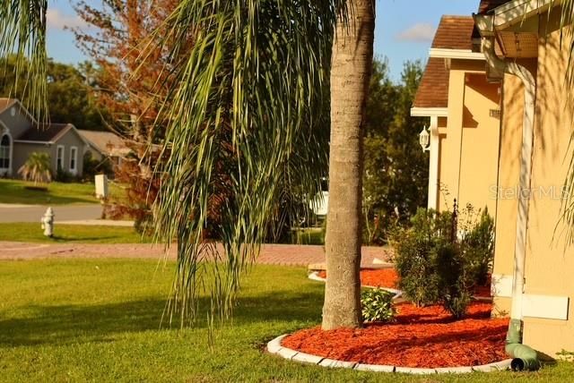 Под контрактом: $439,990 (4 спален, 2 ванн, 1735 Квадратных фут)