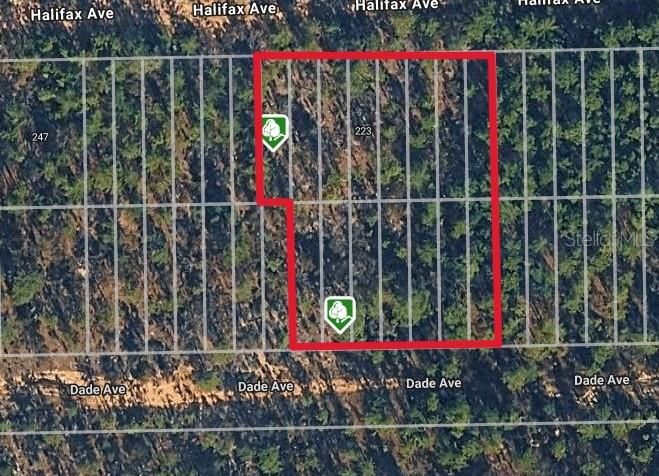 For Sale: $17,000 (0.50 acres)