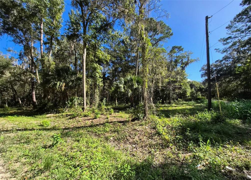 En Venta: $28,000 (0.25 acres)