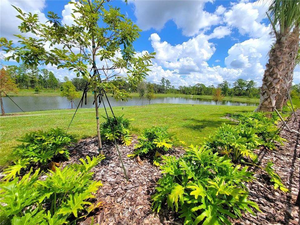 For Rent: $2,450 (4 beds, 3 baths, 1954 Square Feet)