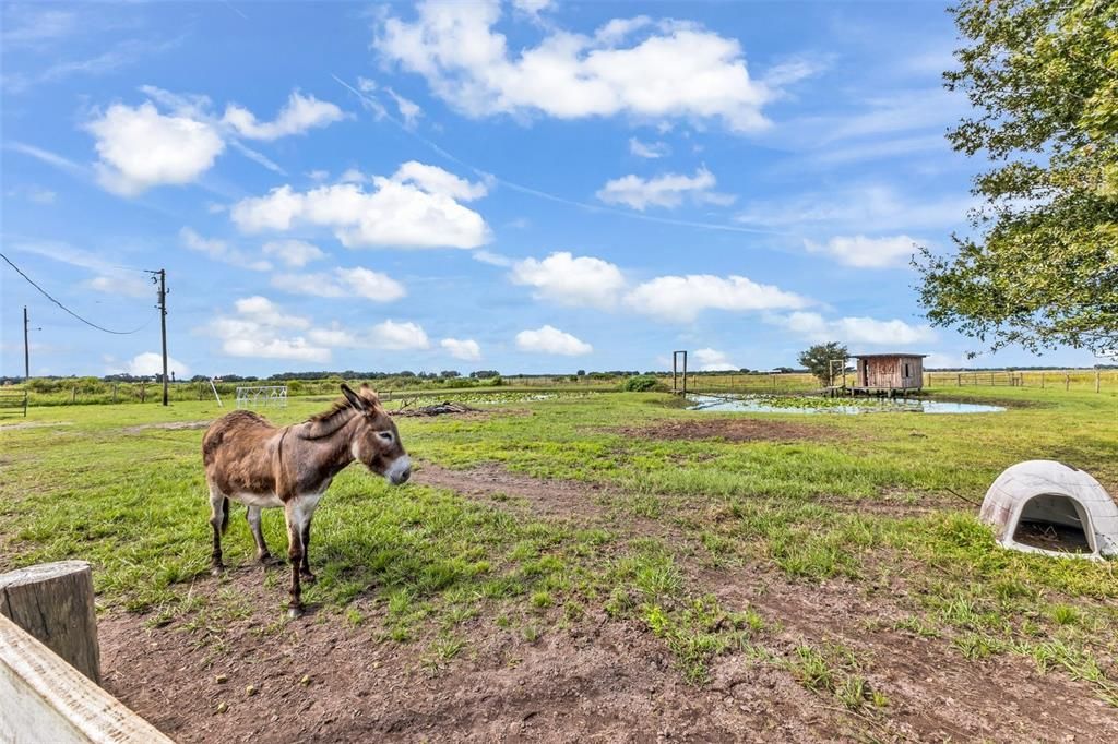 На продажу: $439,900 (2 спален, 2 ванн, 1536 Квадратных фут)