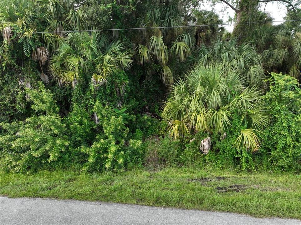 For Sale: $21,000 (0.23 acres)
