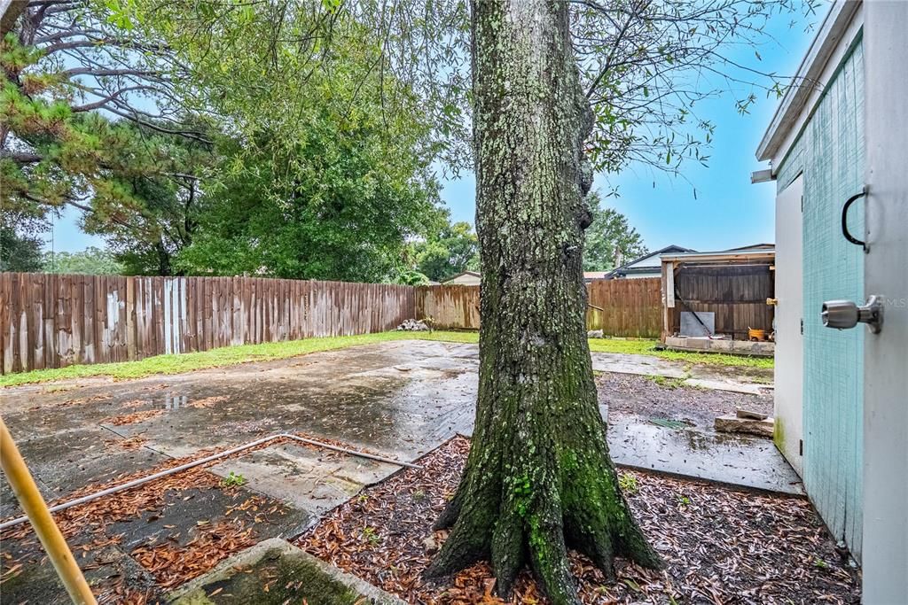 待售: $330,000 (2 贝兹, 1 浴室, 1080 平方英尺)