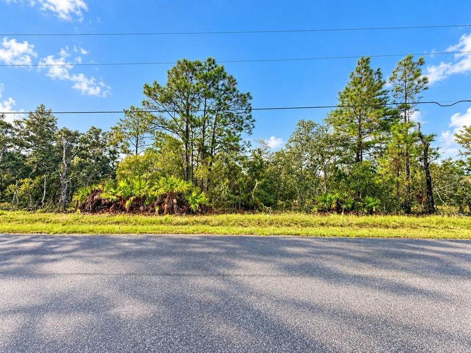 For Sale: $50,000 (0.46 acres)