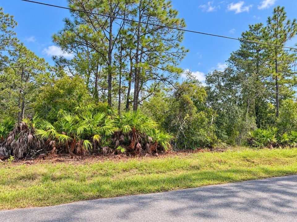 For Sale: $50,000 (0.46 acres)