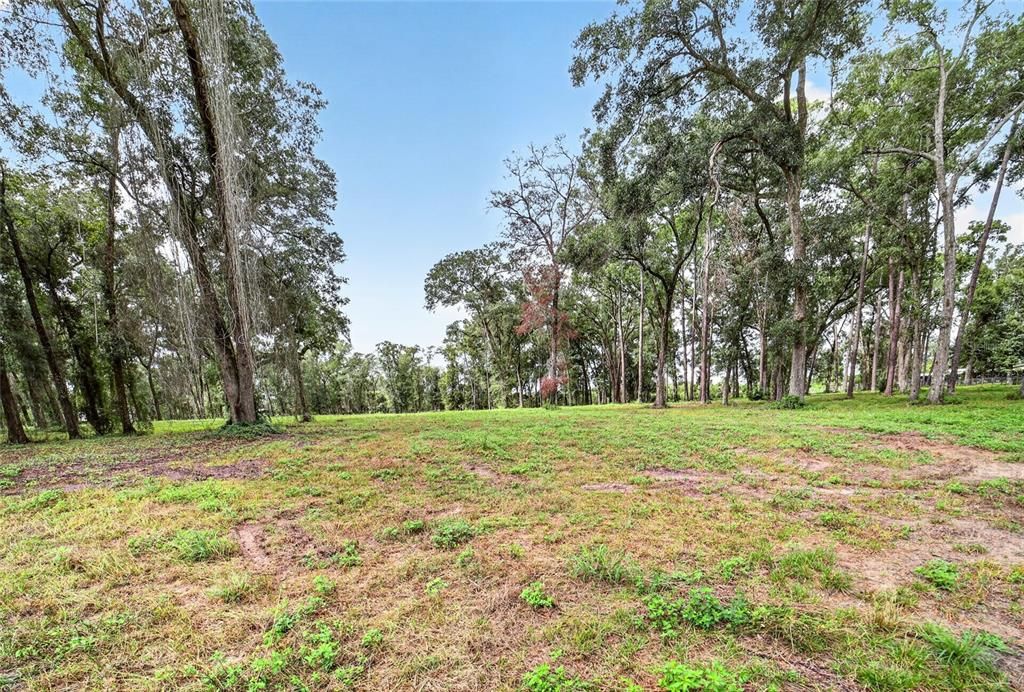 For Sale: $499,000 (10.00 acres)