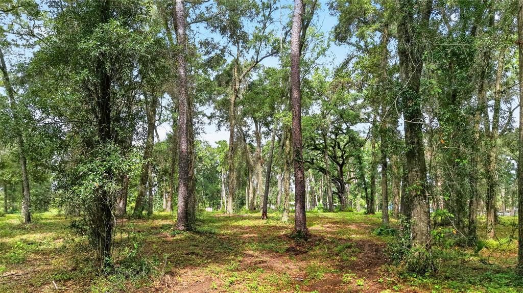 For Sale: $499,000 (10.00 acres)