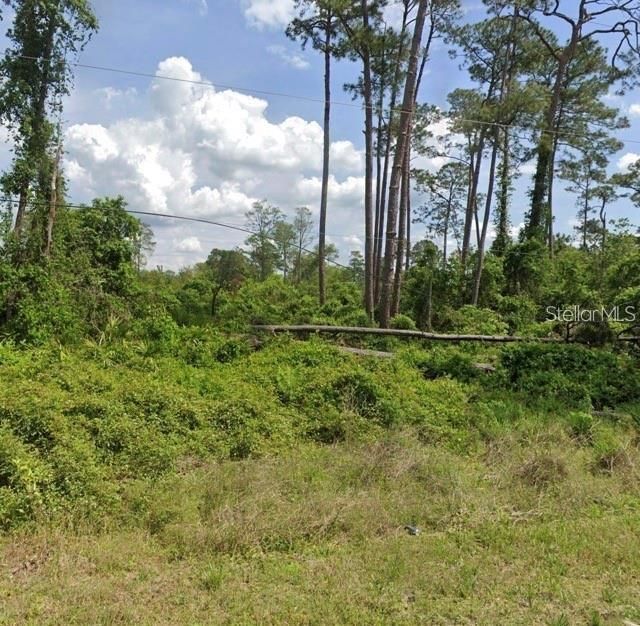 En Venta: $45,000 (0.31 acres)