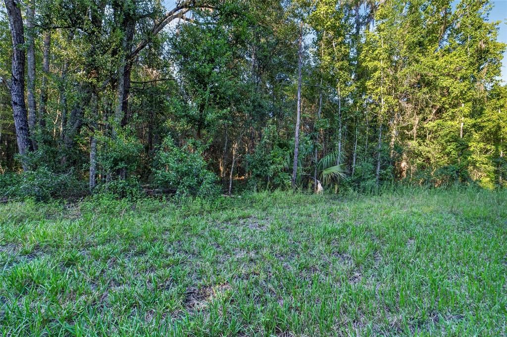 En Venta: $175,000 (10.00 acres)