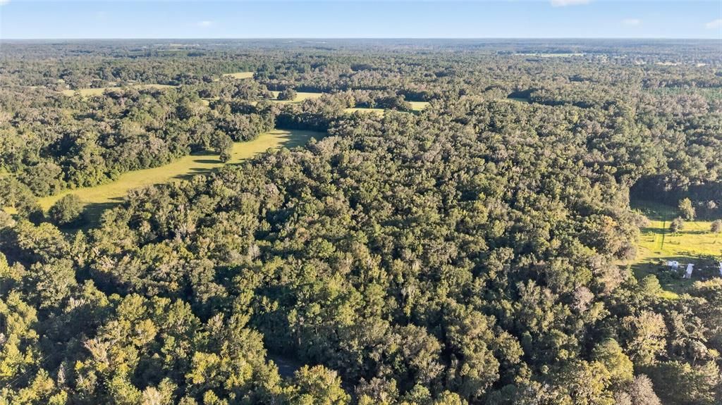 En Venta: $175,000 (10.00 acres)