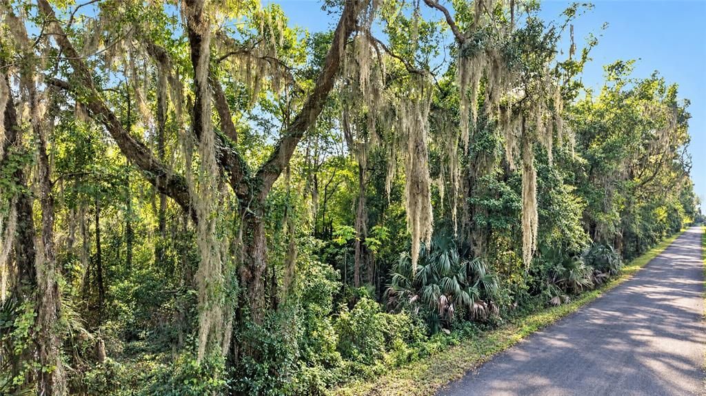 En Venta: $175,000 (10.00 acres)