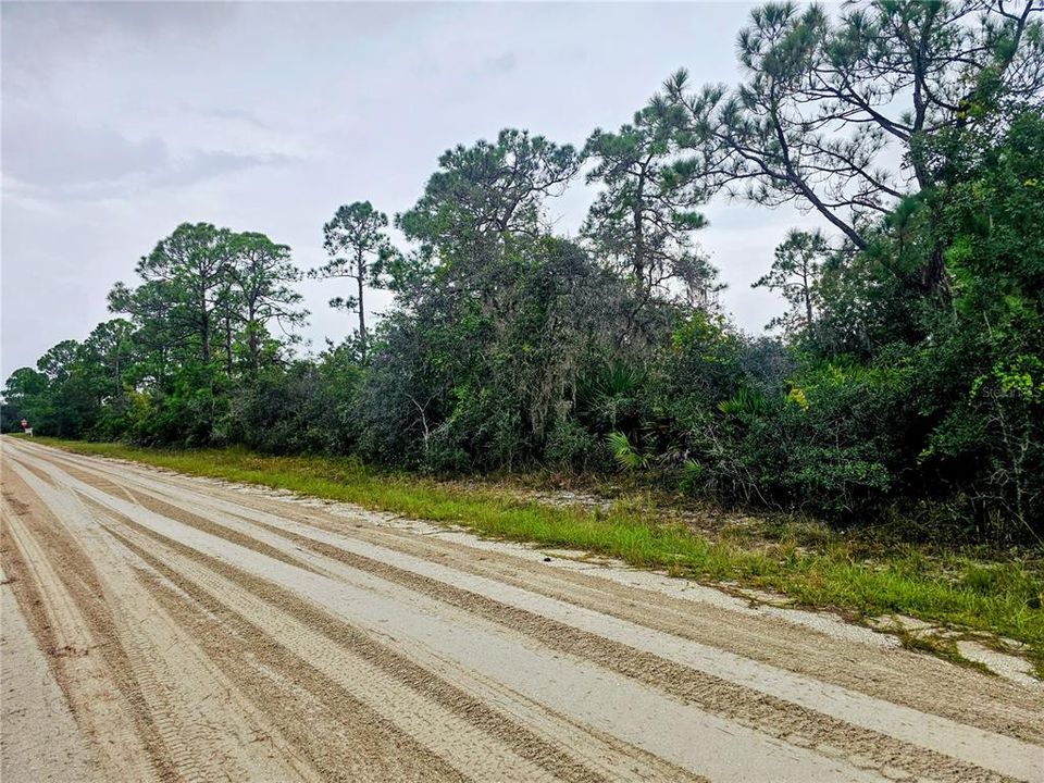 待售: $11,000 (0.24 acres)
