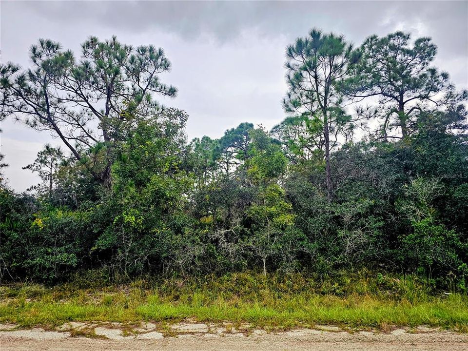 待售: $11,000 (0.24 acres)