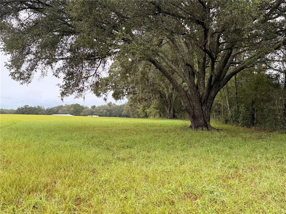For Sale: $710,000 (12.00 acres)