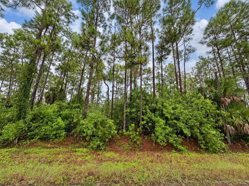 For Sale: $170,000 (2.50 acres)