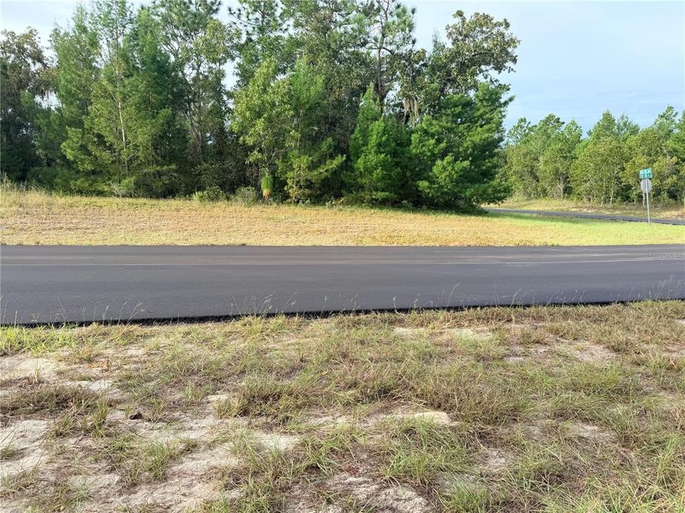 For Sale: $38,900 (0.40 acres)