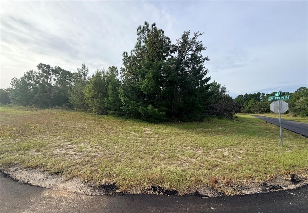 For Sale: $38,900 (0.40 acres)
