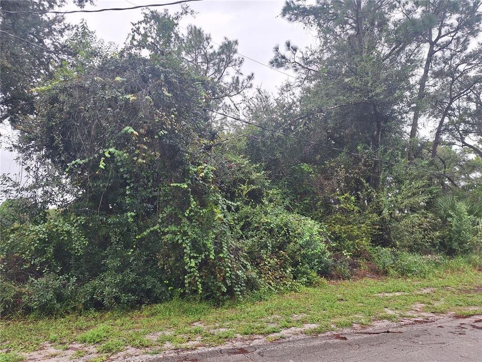 En Venta: $39,900 (0.39 acres)