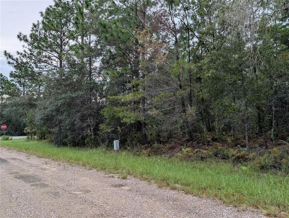 En Venta: $20,000 (0.30 acres)
