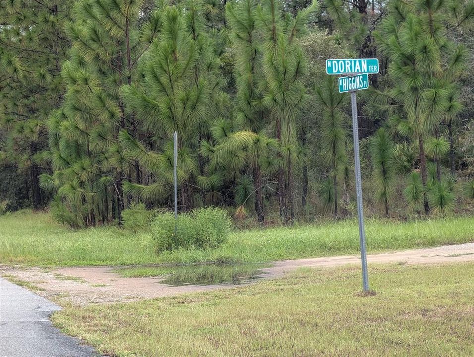 En Venta: $20,000 (0.30 acres)