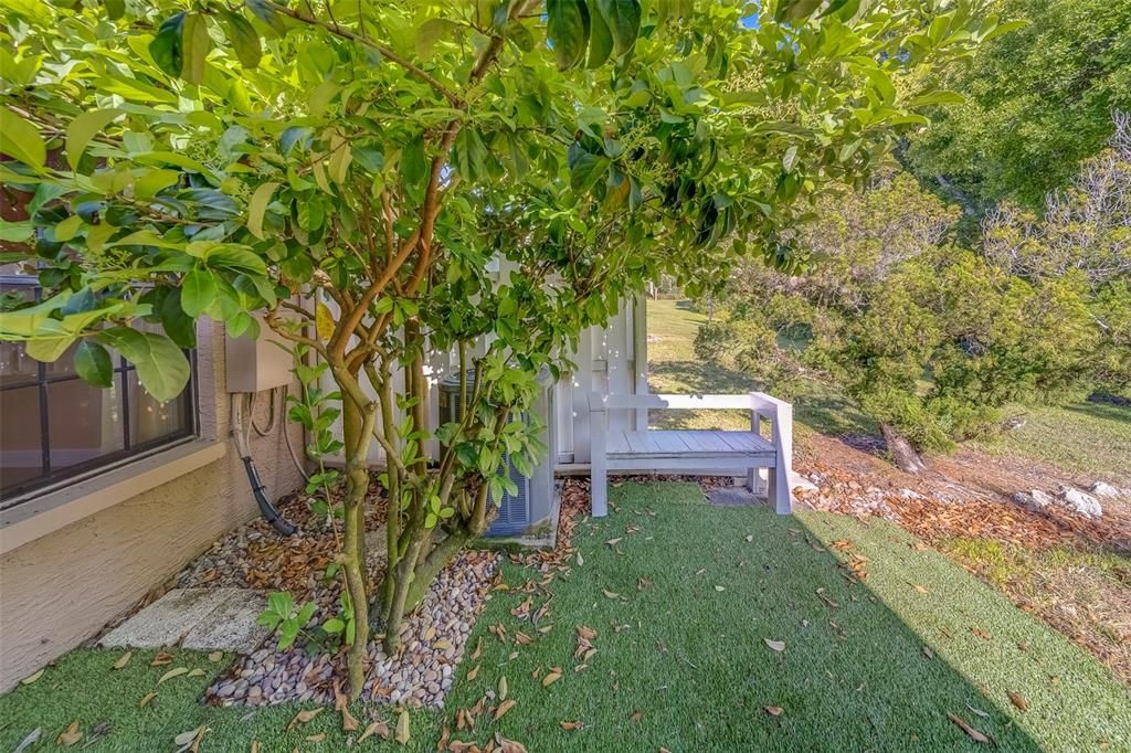 En Venta: $225,000 (2 camas, 2 baños, 1170 Pies cuadrados)