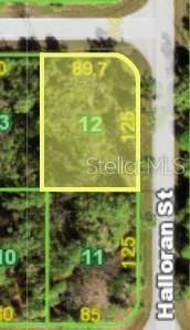 For Sale: $9,900 (0.25 acres)