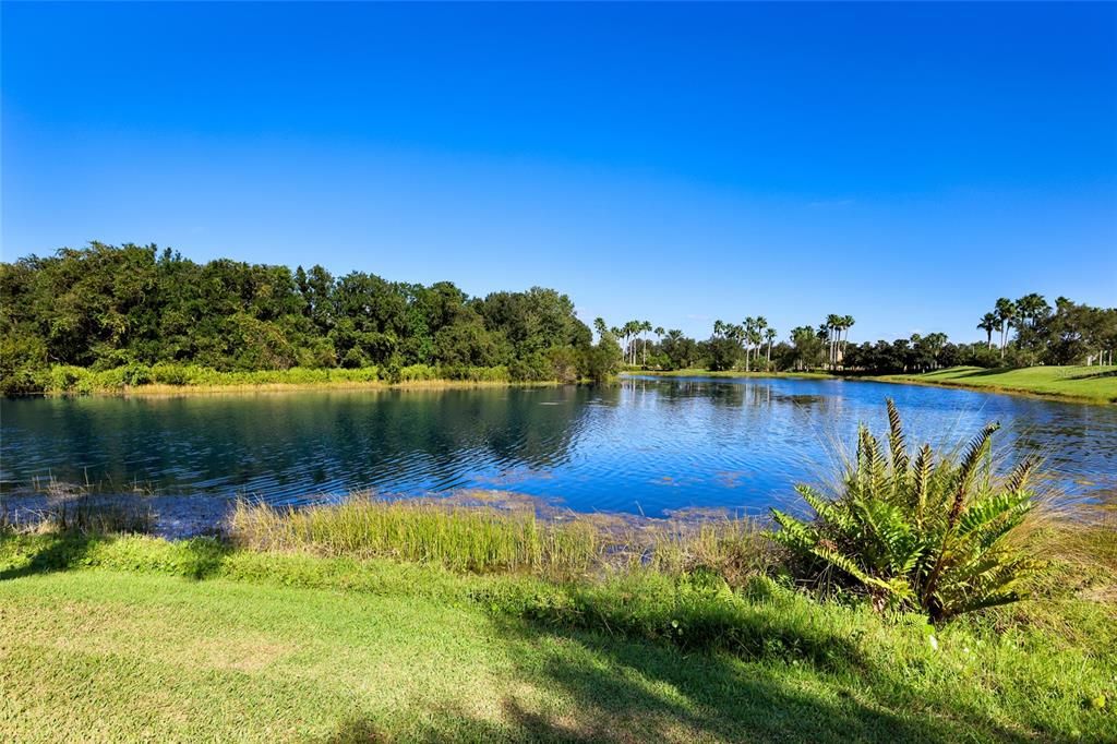En Venta: $385,000 (3 camas, 2 baños, 1495 Pies cuadrados)