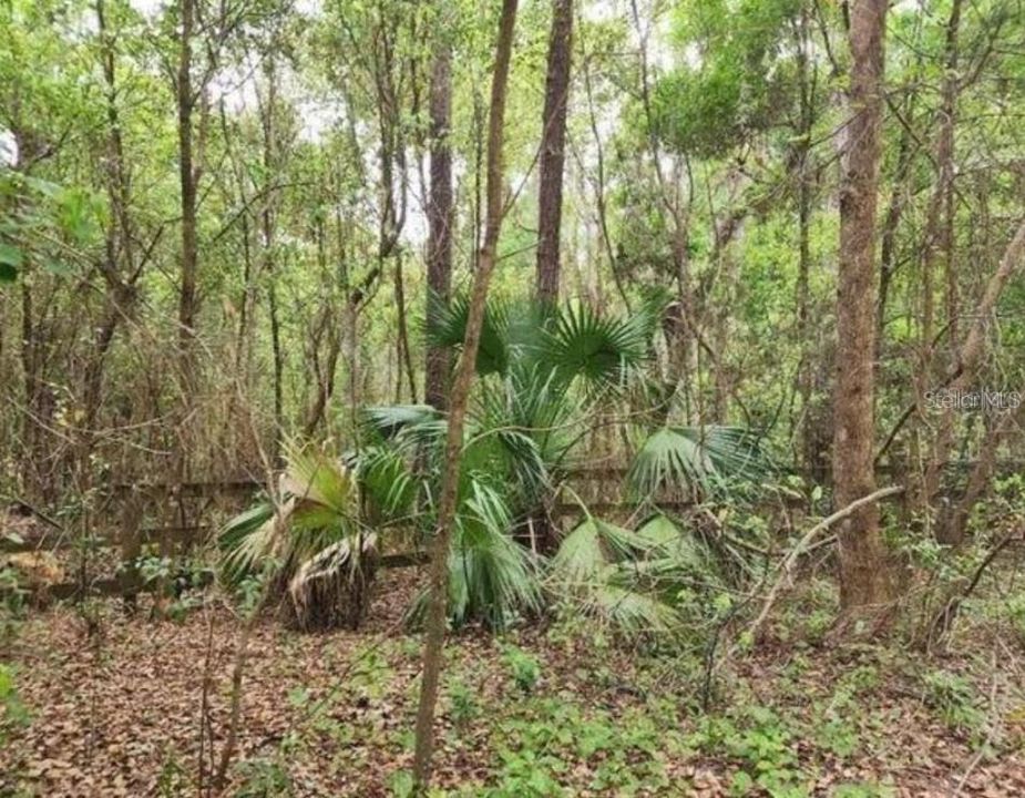 На продажу: $89,000 (3.00 acres)
