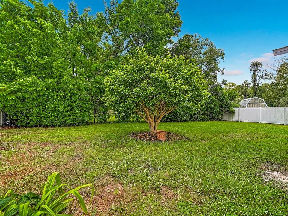 En Venta: $295,000 (3 camas, 2 baños, 1244 Pies cuadrados)