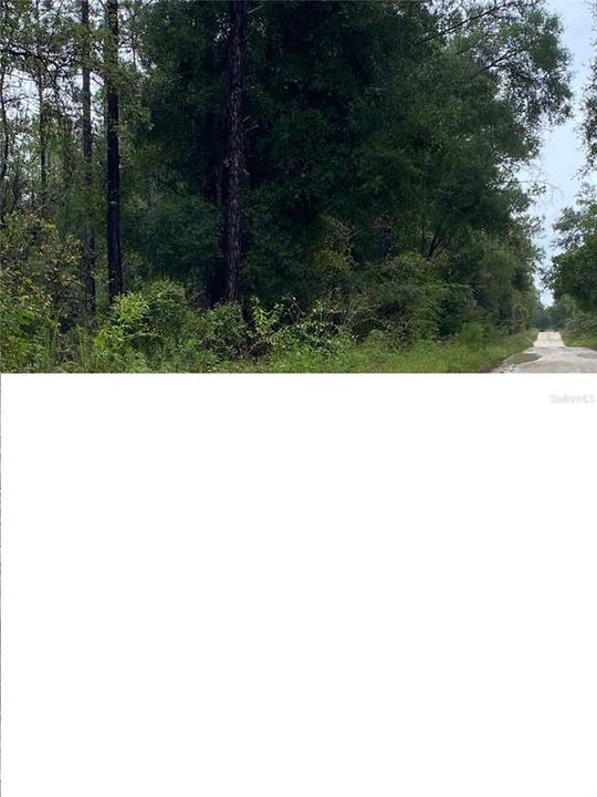 En Venta: $37,000 (0.44 acres)