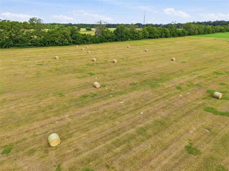 En Venta: $8,999,900 (104.96 acres)