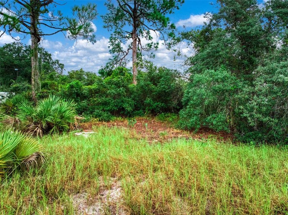 待售: $7,500 (0.23 acres)