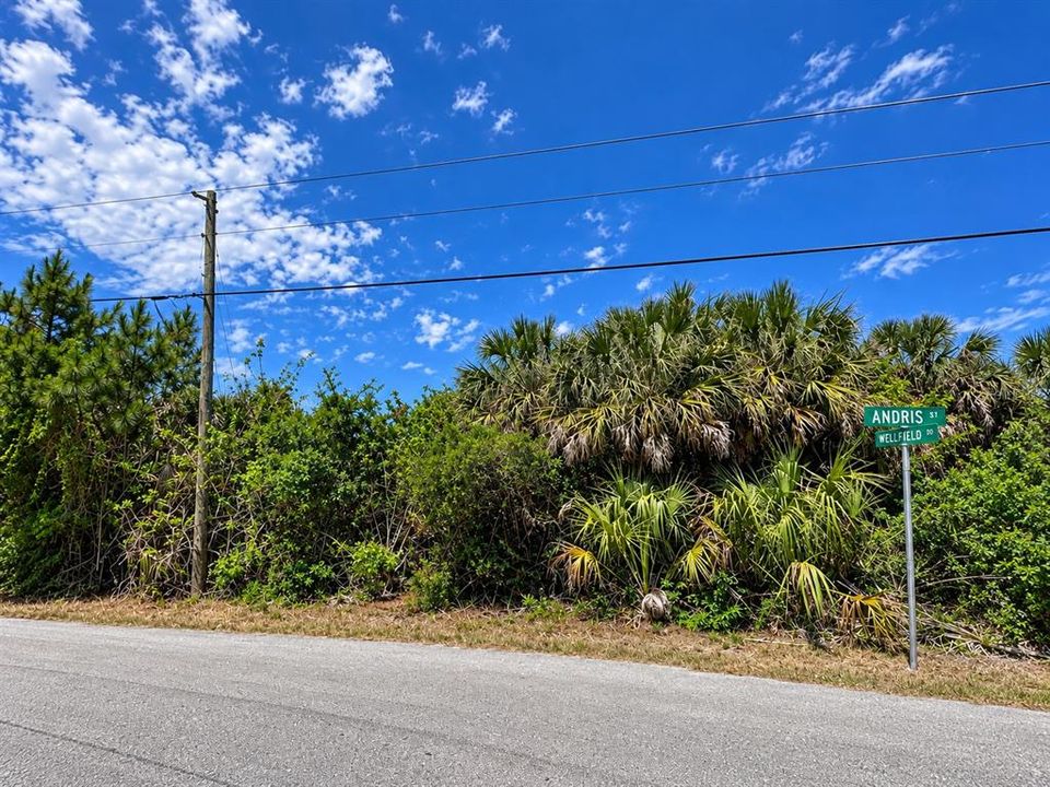 待售: $40,000 (0.38 acres)