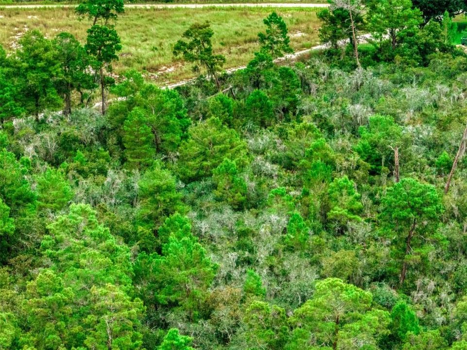 待售: $7,500 (0.26 acres)