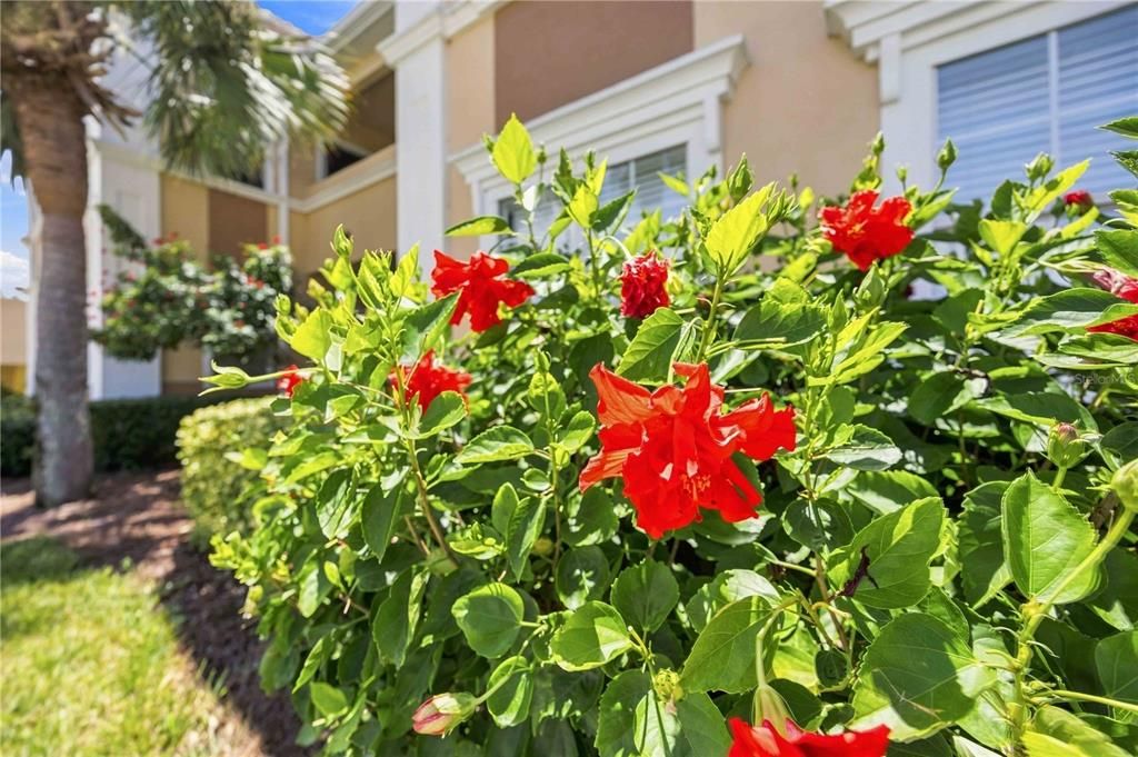 В аренду: $1,350 (1 спален, 1 ванн, 822 Квадратных фут)