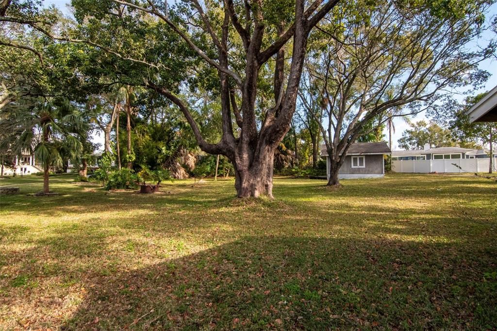 For Sale: $1,249,000 (0.47 acres)