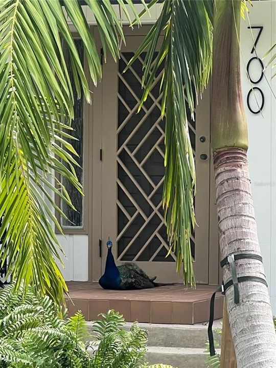 En Renta: $5,950 (2 camas, 2 baños, 1518 Pies cuadrados)