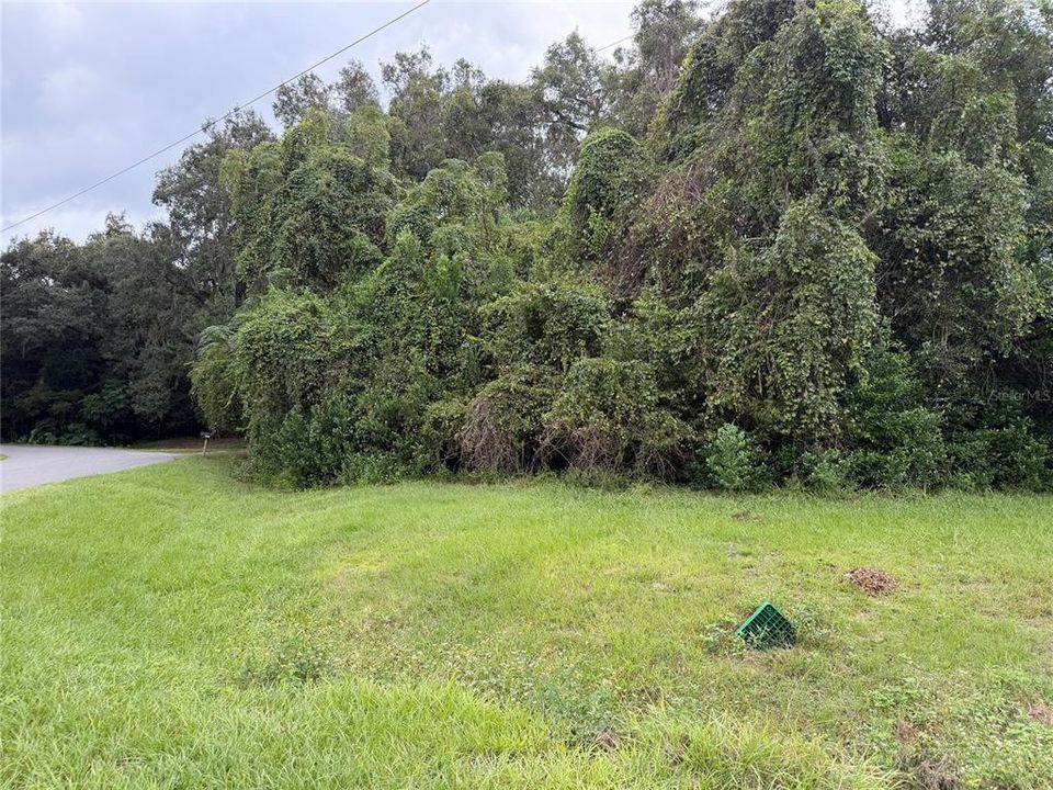 For Sale: $59,000 (0.27 acres)