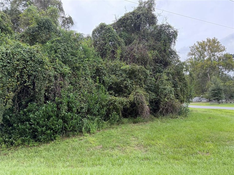 For Sale: $59,000 (0.27 acres)