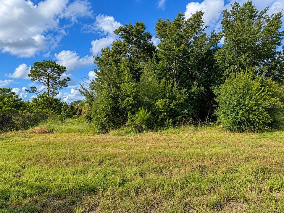 На продажу: $12,000 (0.17 acres)